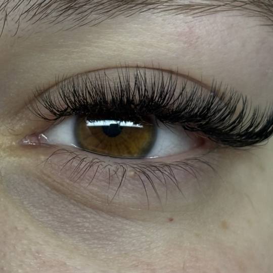 Sis Beauty Room #zagreb Nadogradnja trepavica Ugradnja volumenskih trepavica