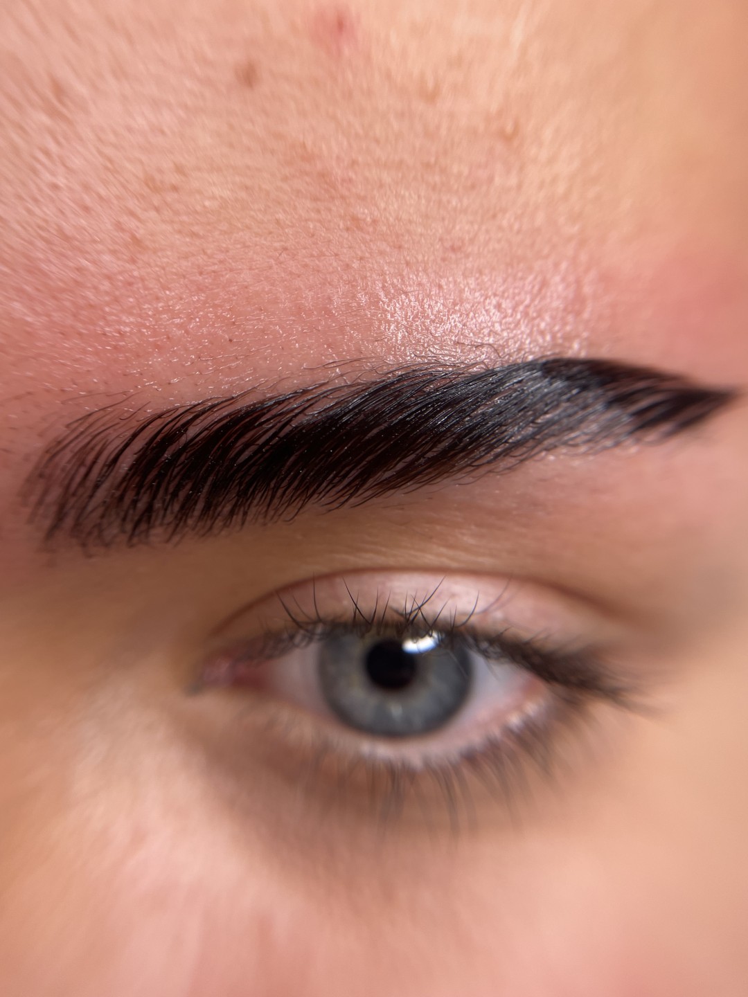 G. Beauty #zagreb Obrve Brow lamination + bojanje obrva