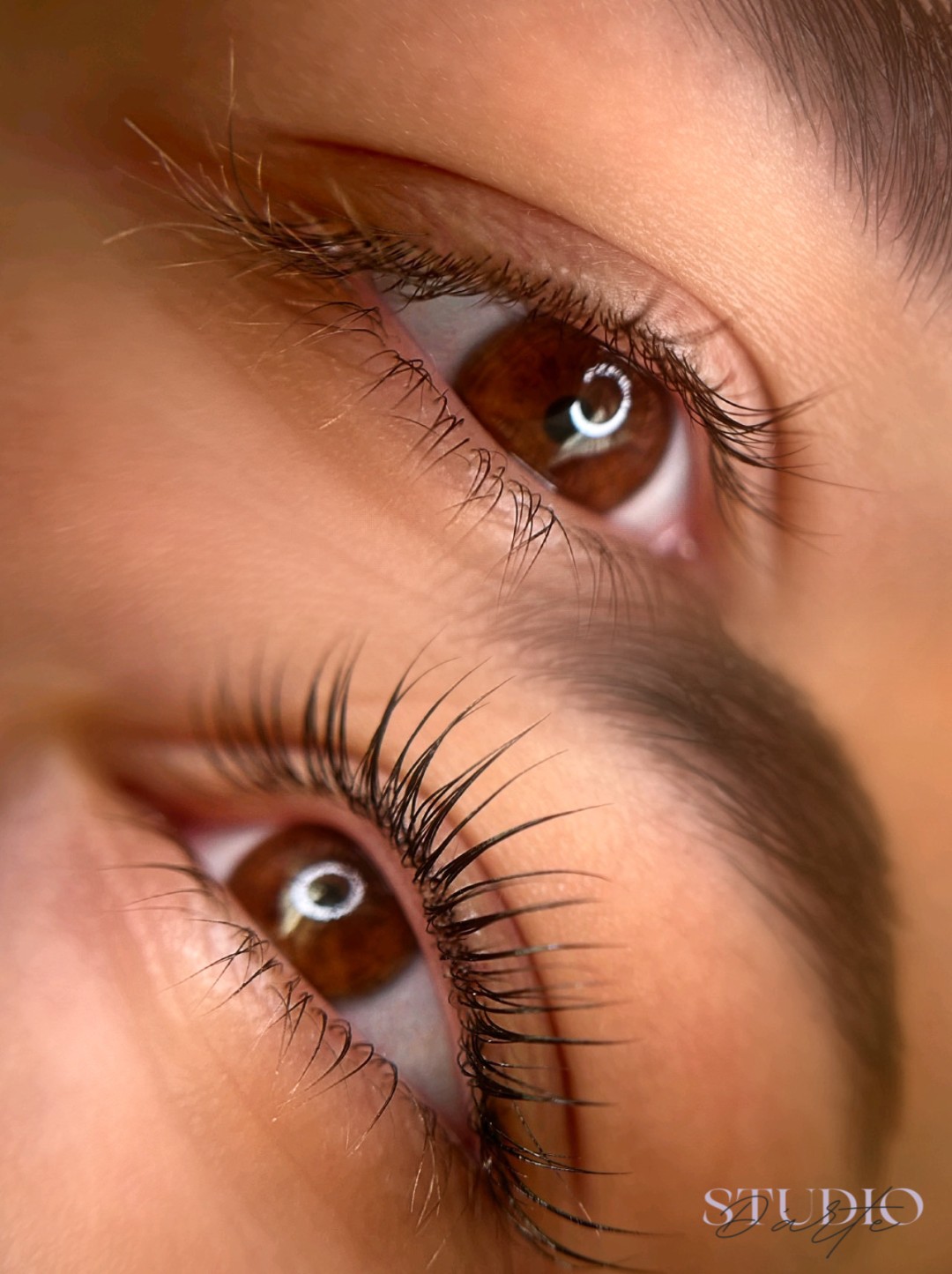 D'Arte Beauty Studio #velika-gorica Trepavice Lash lift