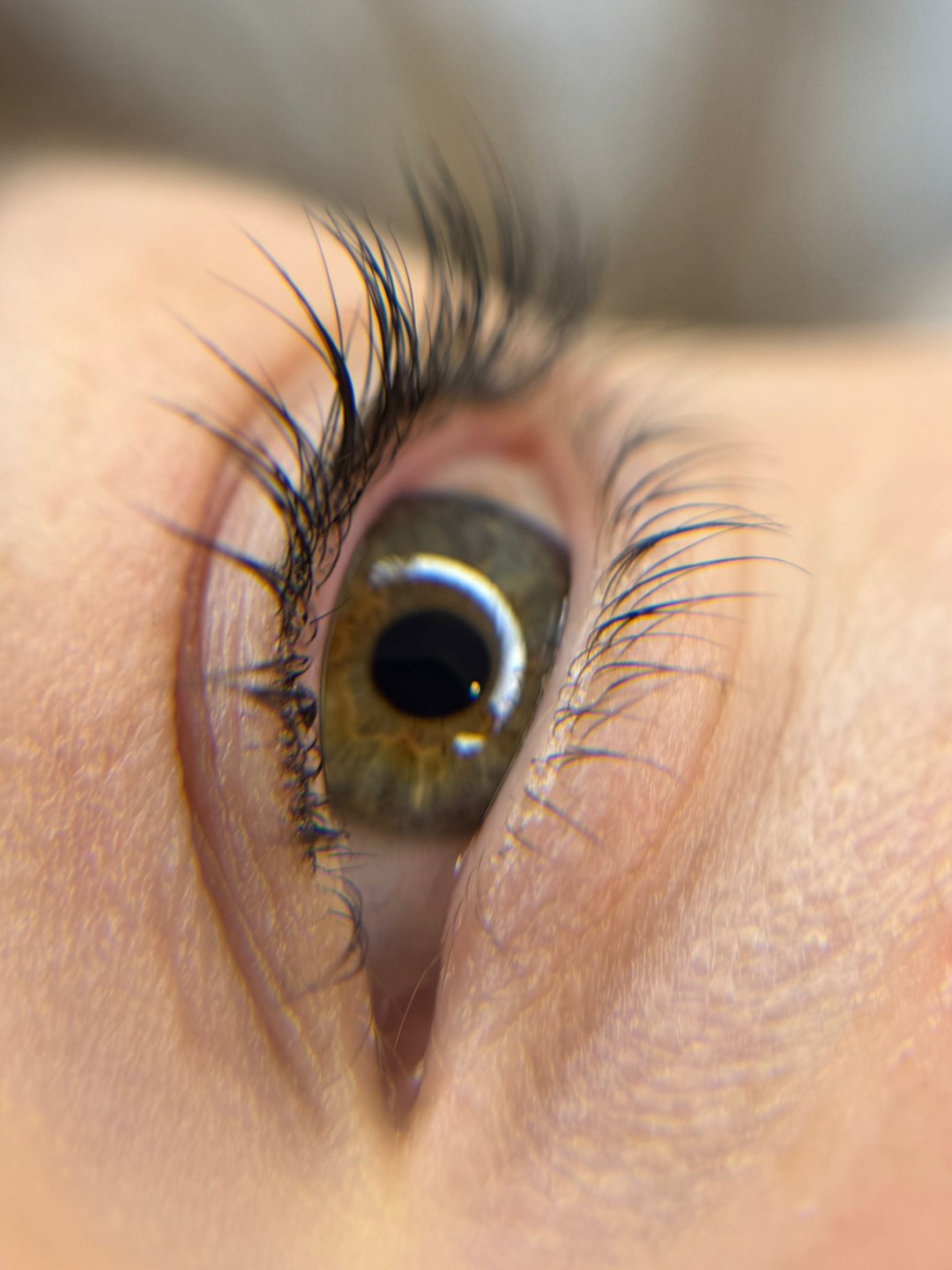 Brow Bar Permanent #zagreb Trepavice Lash lift