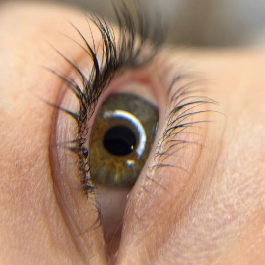 Brow Bar Permanent usluga