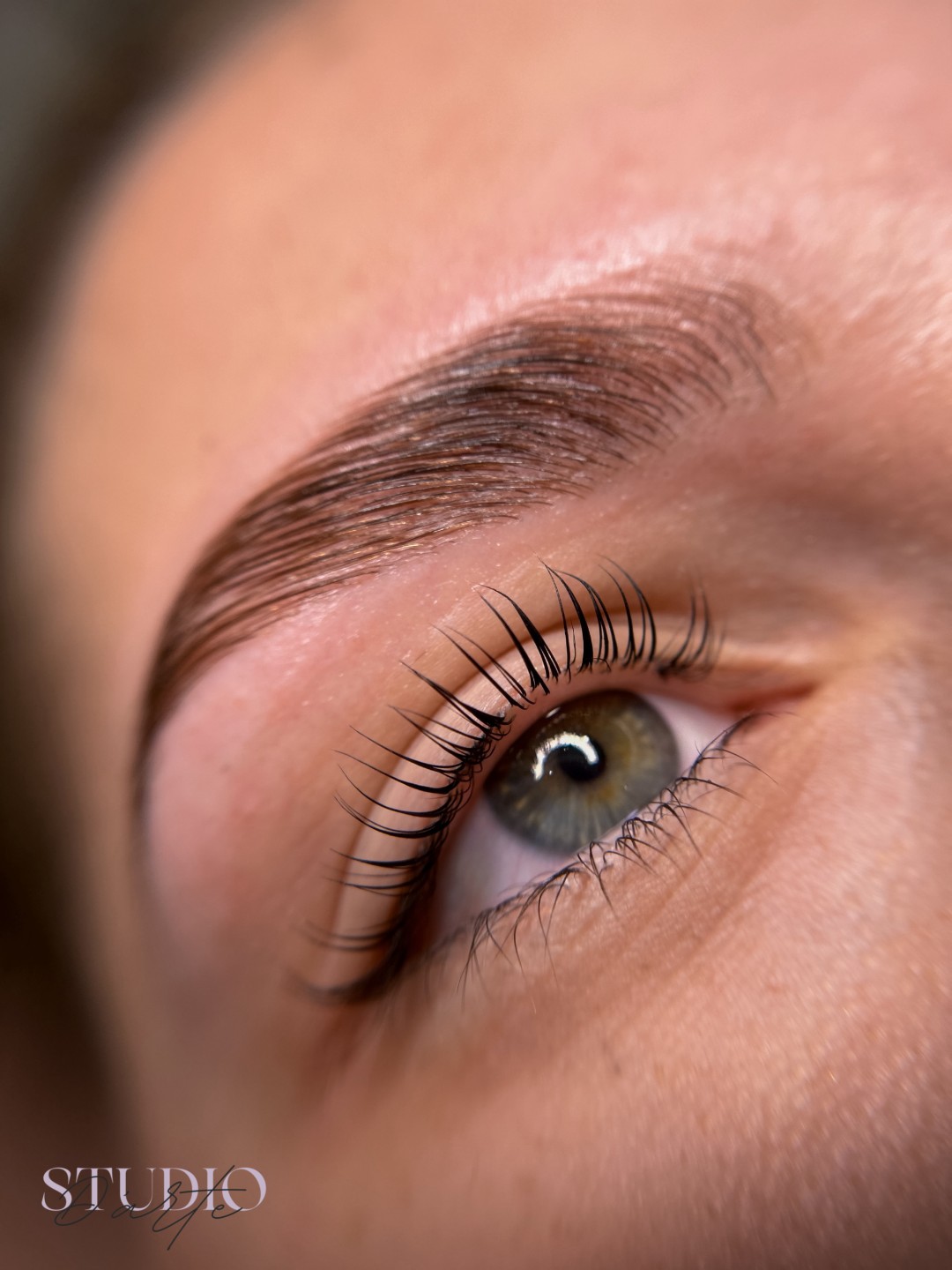 D'Arte Beauty Studio #velika-gorica Trepavice Lash lift + brow lift