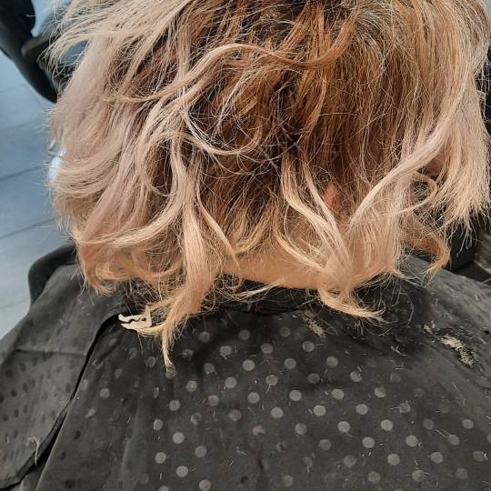 Studio Daniela usluga