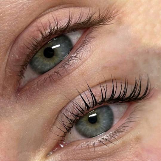 Ivy's Beauty Studio & Academy #zagreb Trepavice LASH LIFT + BOJANJE TREPAVICA + 3D FILLER