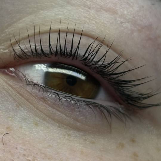 Sis Beauty Room #zagreb Trepavice Lash lift