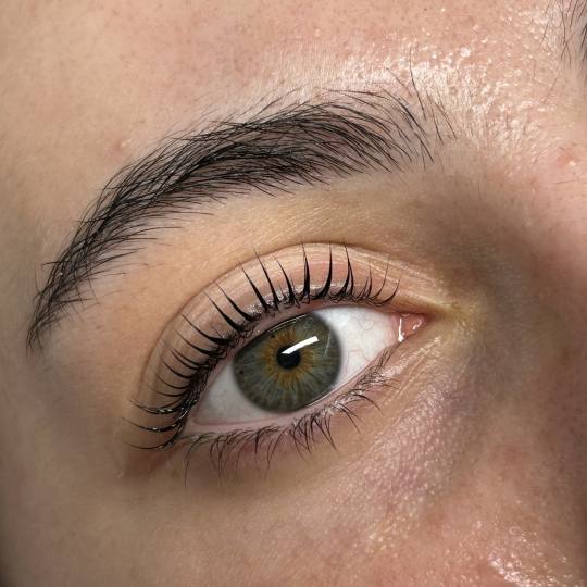 Zen Spot #zagreb Trepavice Lash lift + bojanje trepavica