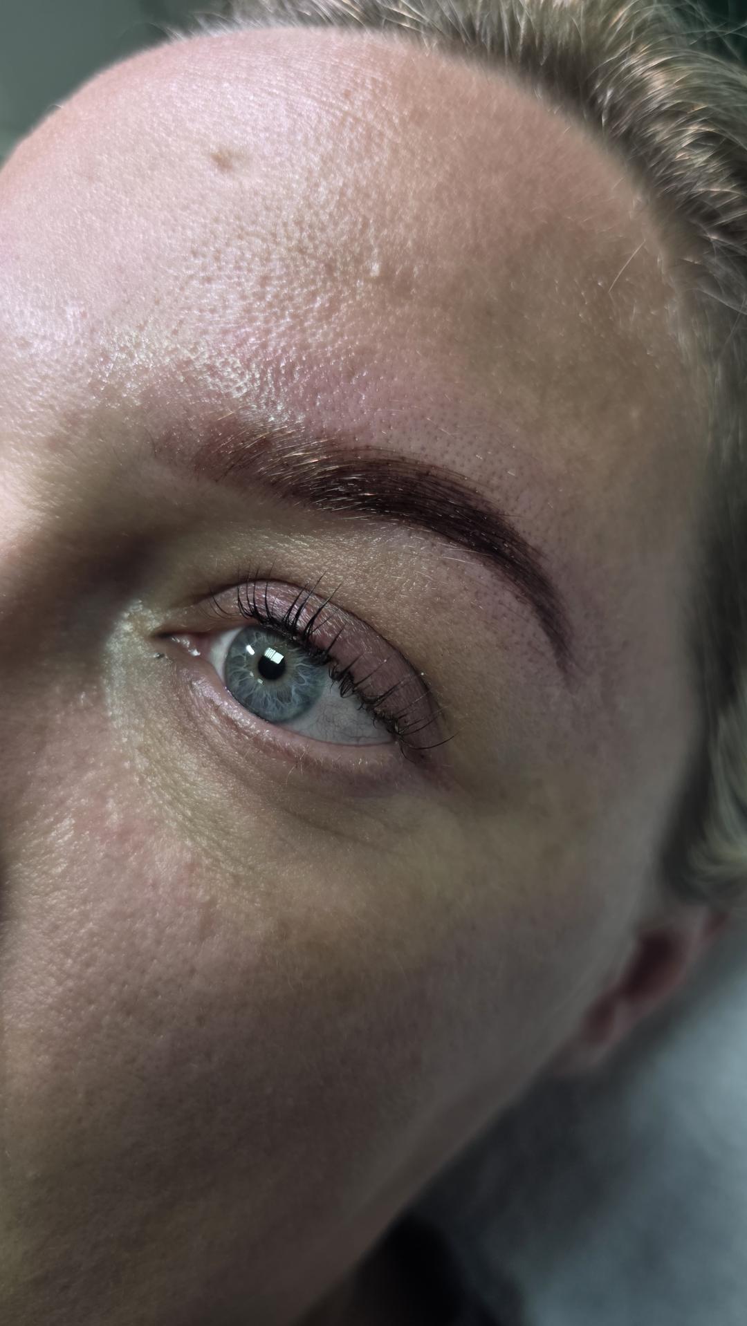 Daniva brow and beauty #zagreb Trepavice Lash lift + brow lift + bojanje