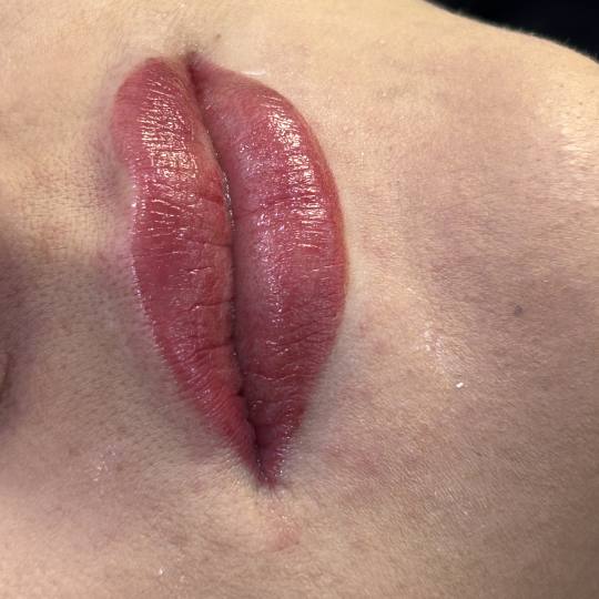 Timeless by Sanja #zagreb Trajna šminka Trajna šminka - usne