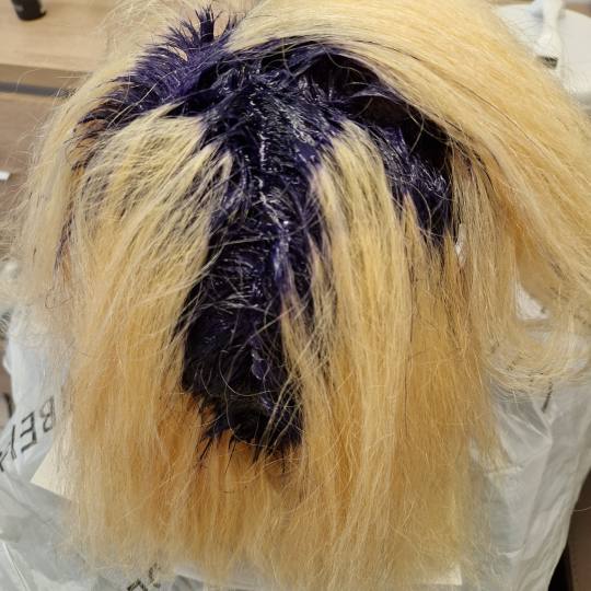 Frizerski salon W #zagreb