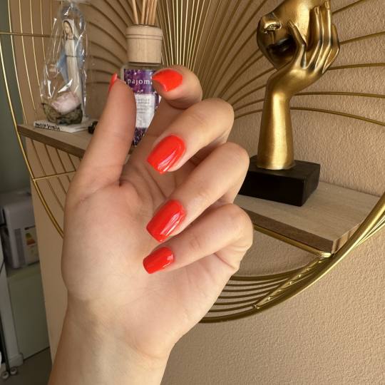 Sany Nails & Cosmetics usluga