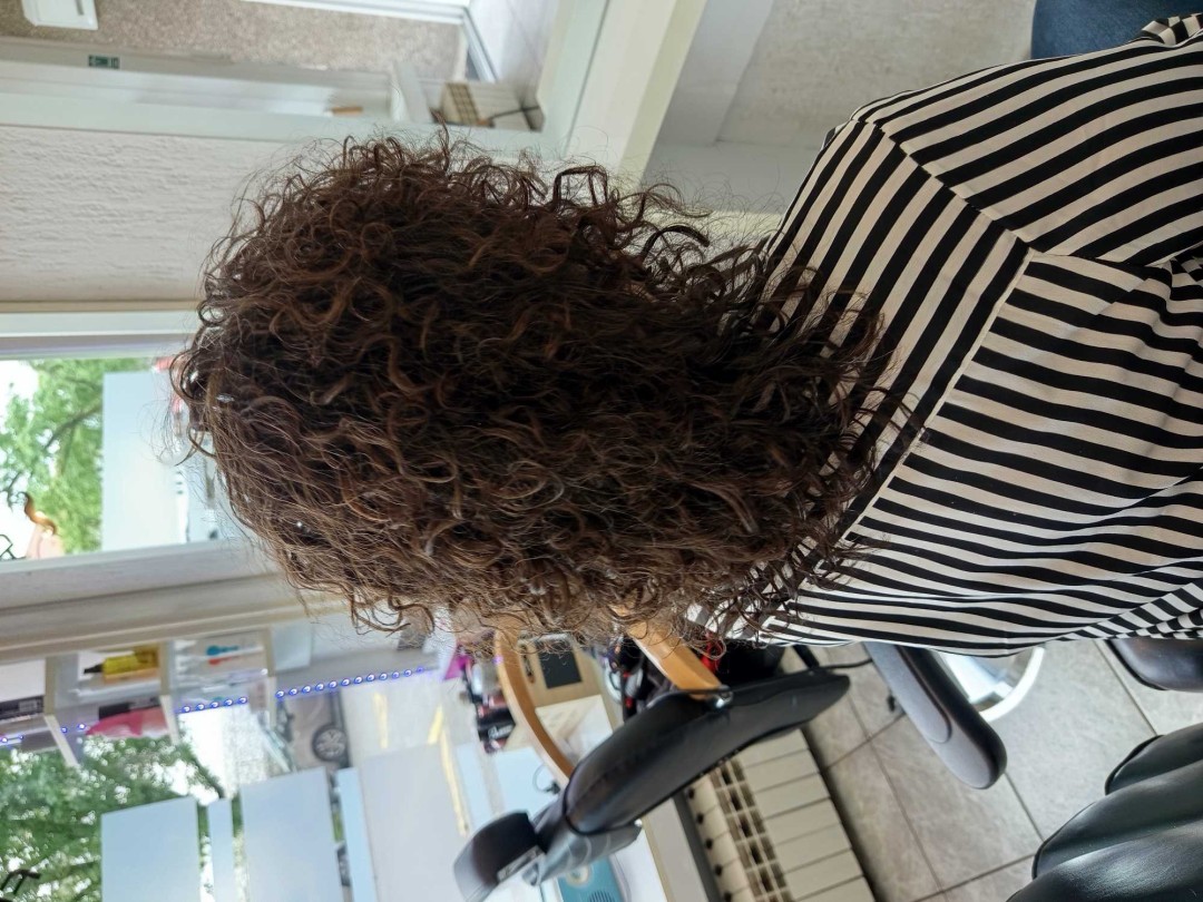 Wikleraj & Frajeraj #zagreb Minival Minival - poluduga kosa