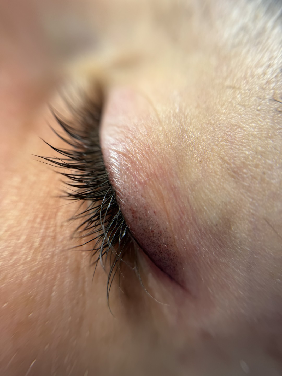 Stellaria beauty studio #velika-gorica Trajna šminka Eyeliner sjenčani