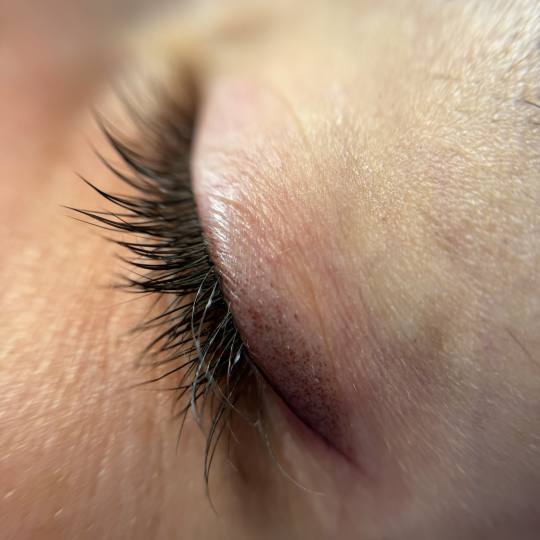 Stellaria beauty studio #velika-gorica Trajna šminka Eyeliner sjenčani