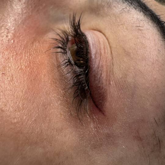 Stellaria beauty studio #velika-gorica Trajna šminka Eyeliner sjenčani