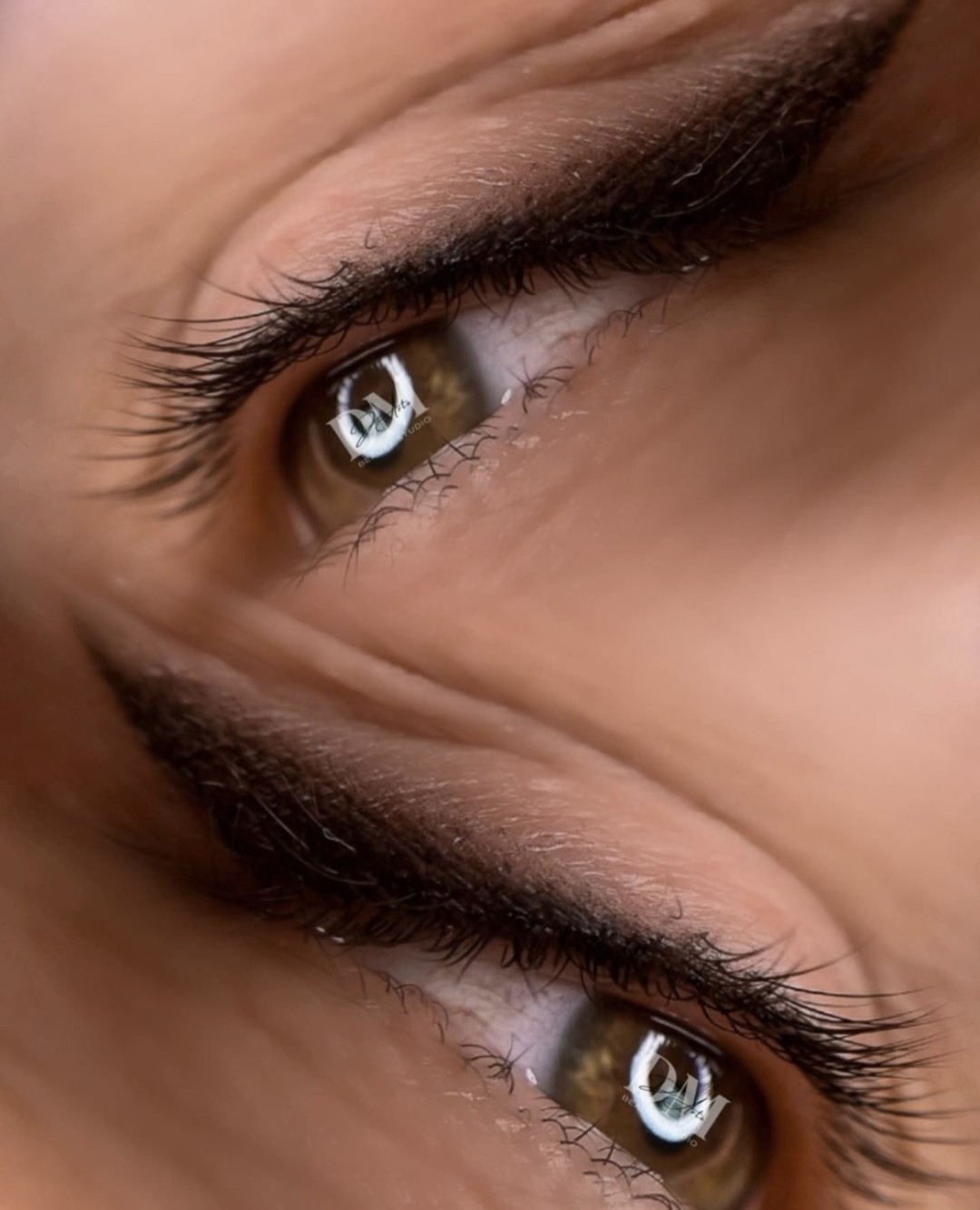 D'Arte Beauty Studio #velika-gorica Trajna šminka