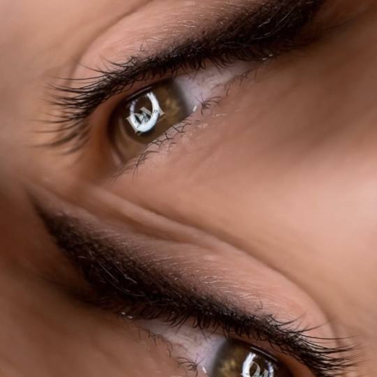 D'Arte Beauty Studio #velika-gorica Trajna šminka