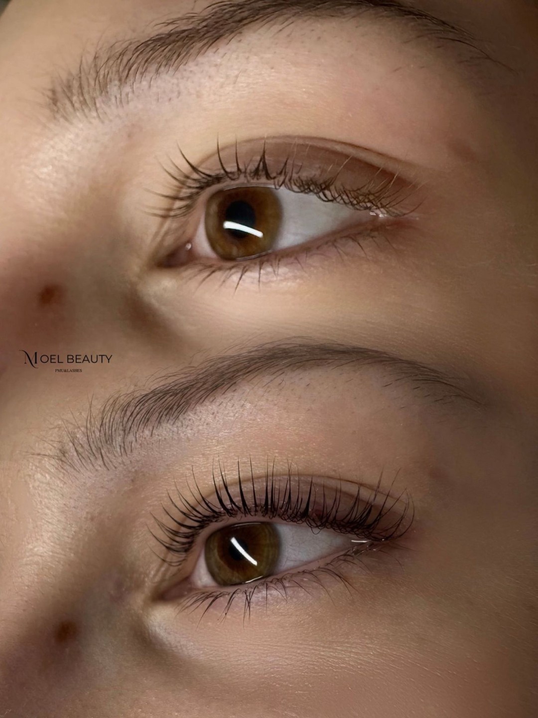 Moel beauty #zagreb Trepavice Lash lift + bojanje + 3D filler