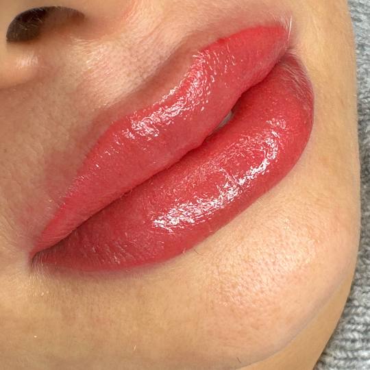 Vanja’s Beautique #zagreb Trajna šminka Trajna šminka usana + korekcija usana - do 60 dana