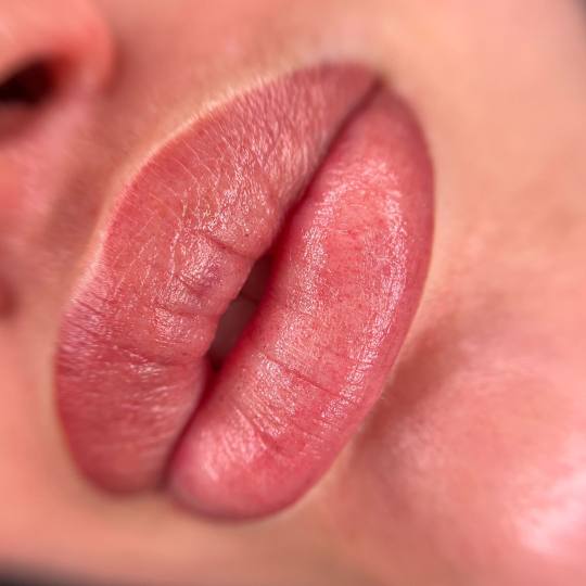 Irina beauty #zagreb Trajna šminka Trajna šminka - usne