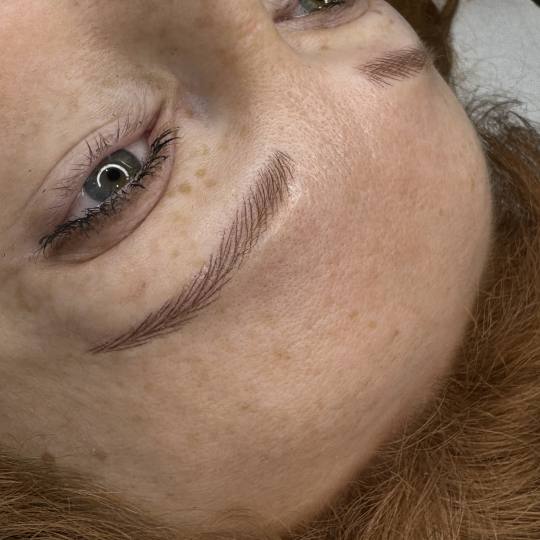 Vanja’s Beautique #zagreb Obrve Trajna šminka hiperrealizam obrva + korekcija obrva - do 60 dana