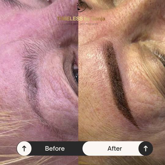 Timeless by Sanja #zagreb Trajna šminka Puder obrve / microblading Puder obrve su polutrajna mikrop