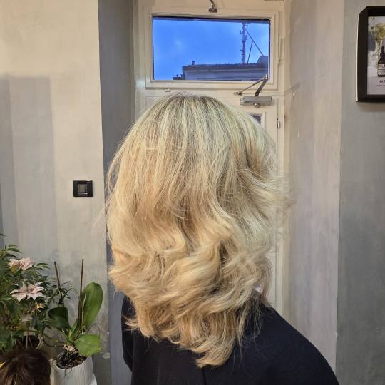 Studio Danijela usluga