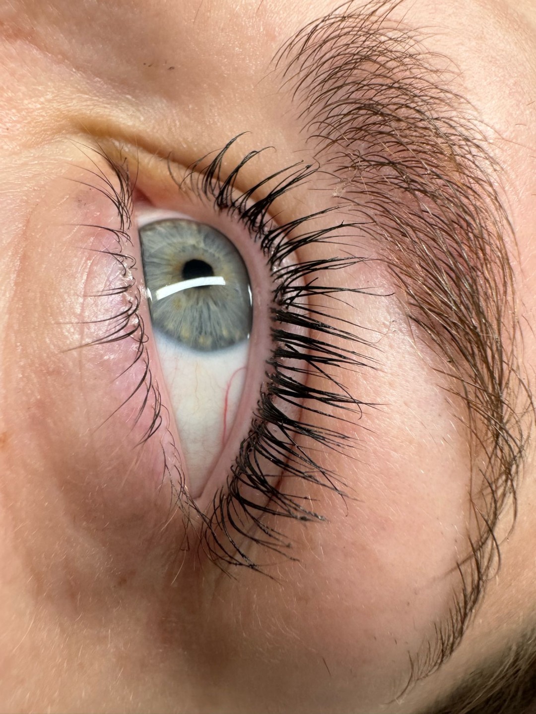 Lash lift + bojanje + 3D filler - MOELL beauty, Zagreb Trepavice Lice Trepavice, Zagreb, Peščenica – Žitnjak