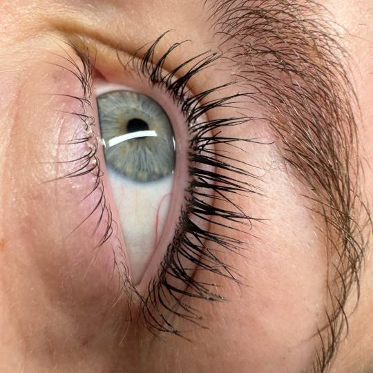 MOELL beauty #zagreb Trepavice Lash lift + bojanje + 3D filler