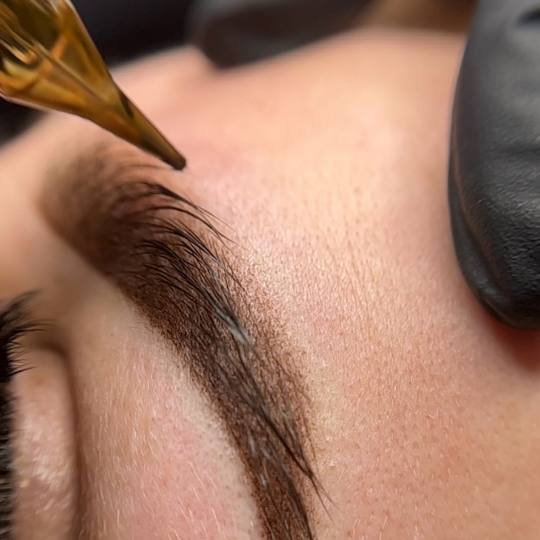 Brow Bar Permanent #zagreb Trajna šminka Puder obrve