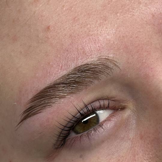 Zen Spot #zagreb Obrve Lash lift + brow lift + bojanje