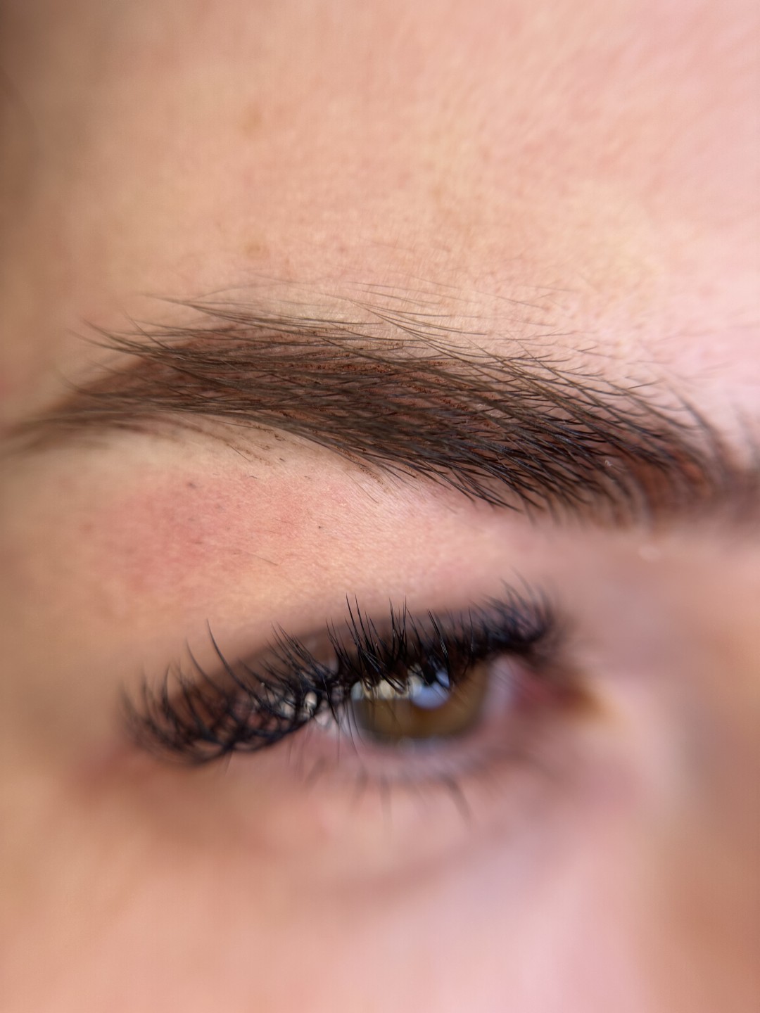 PMU realistic brows - SABRINA STRIJA BEAUTY & SPA, Zagreb Trajna šminka Lice Trajna šminka, Zagreb, Novi Zagreb – zapad