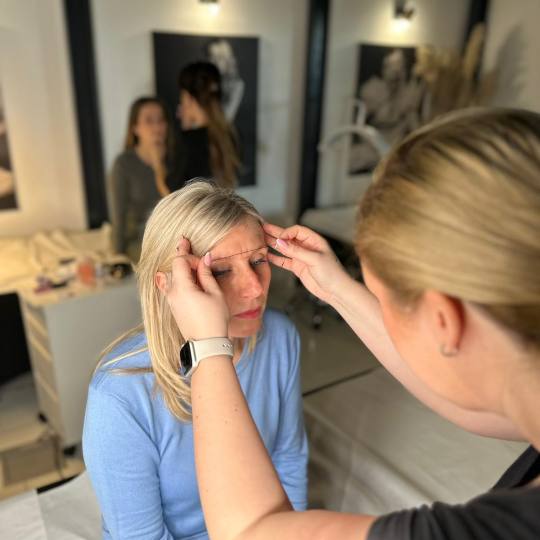 Stellaria beauty studio #velika-gorica Obrve Puder obrve