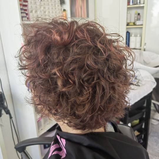 Wikleraj & Frajeraj #zagreb Minival Minival - kratka kosa