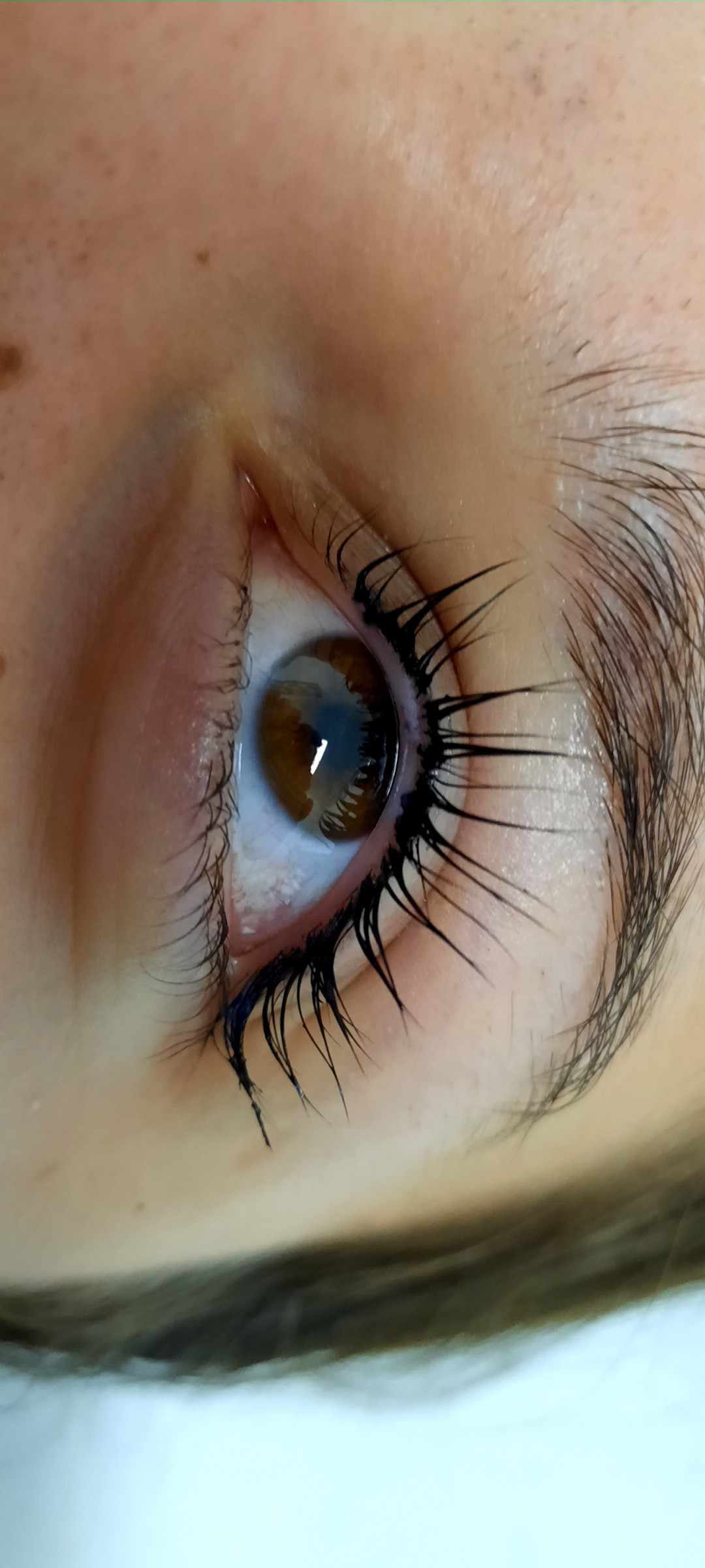 Melanis i Silueta studio za njegu lica i tijela #zagreb Obrve Brow lift