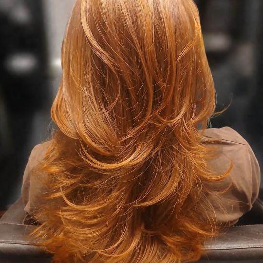 Hair concept Plaza usluga