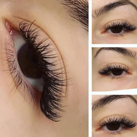 Lash and Brow studio usluga