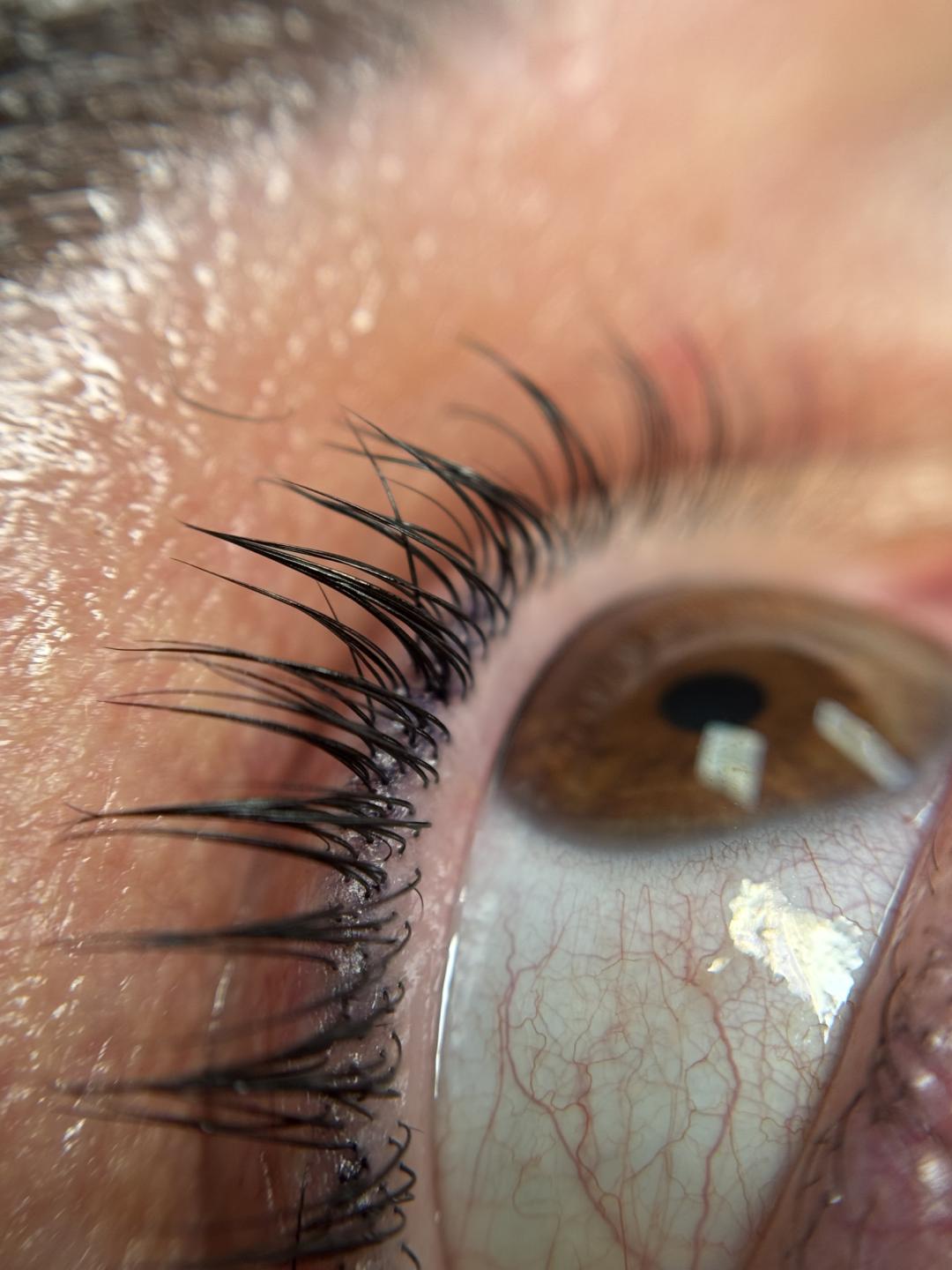 Alma #zapresic Trepavice Lash lift