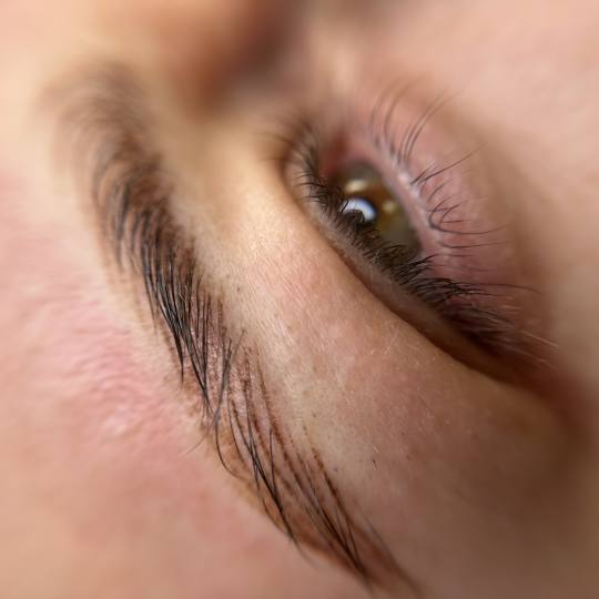 SABRINA STRIJA BEAUTY & SPA #zagreb Trajna šminka PMU realistic brows