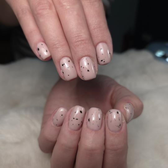 Daniva brow and beauty usluga