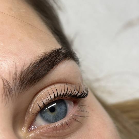 Zen Spot #zagreb Trepavice Lash lift + bojanje trepavica