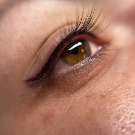 Stellaria beauty studio #velika-gorica Trajna šminka Eyeliner klasični