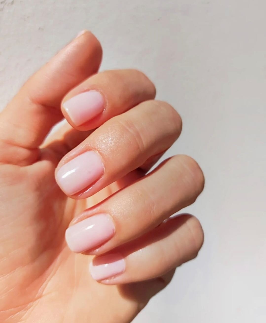 Aqua, Zagreb LookBook