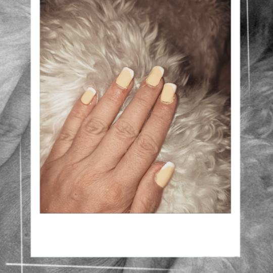 Charbel beauty #zadar Manikura Manikura + trajni lak za dame Manikura + trajni lak za dame u limun 