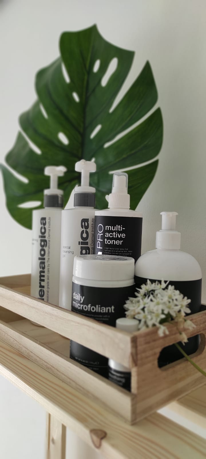 MediKl Studio #zagreb