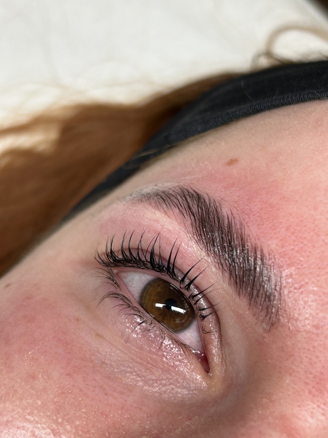 Lash lift + brow lift + bojanje - Zen Spot, Zagreb Obrve Lice Obrve, Zagreb, Stenjevec