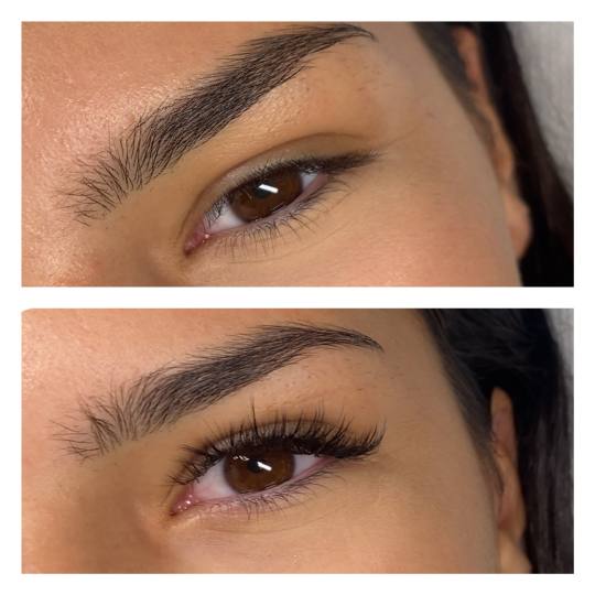 Lash and Brow studio usluga