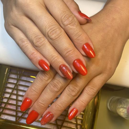 Lash and Brow studio usluga