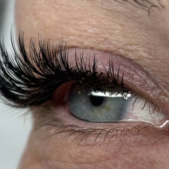 Sis Beauty Room #zagreb Nadogradnja trepavica Ugradnja volumenskih trepavica