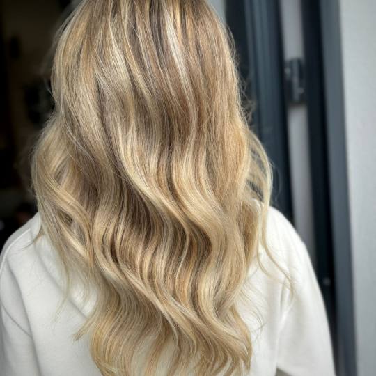 Roya Beauty & Hair Studio usluga