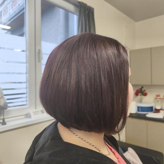 Frizana #zagreb Pramenovi Bojanje kose + šišanje + frizura - S Bojanje, šišanje i frizura je kom